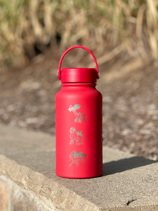 Raikou Entei Suicune Waterbottle, Johto Legendaries Paradox Beasts Coffee Tumbler, Raging Bolt Gouging Fire Walking Wake Waterbottle Gift