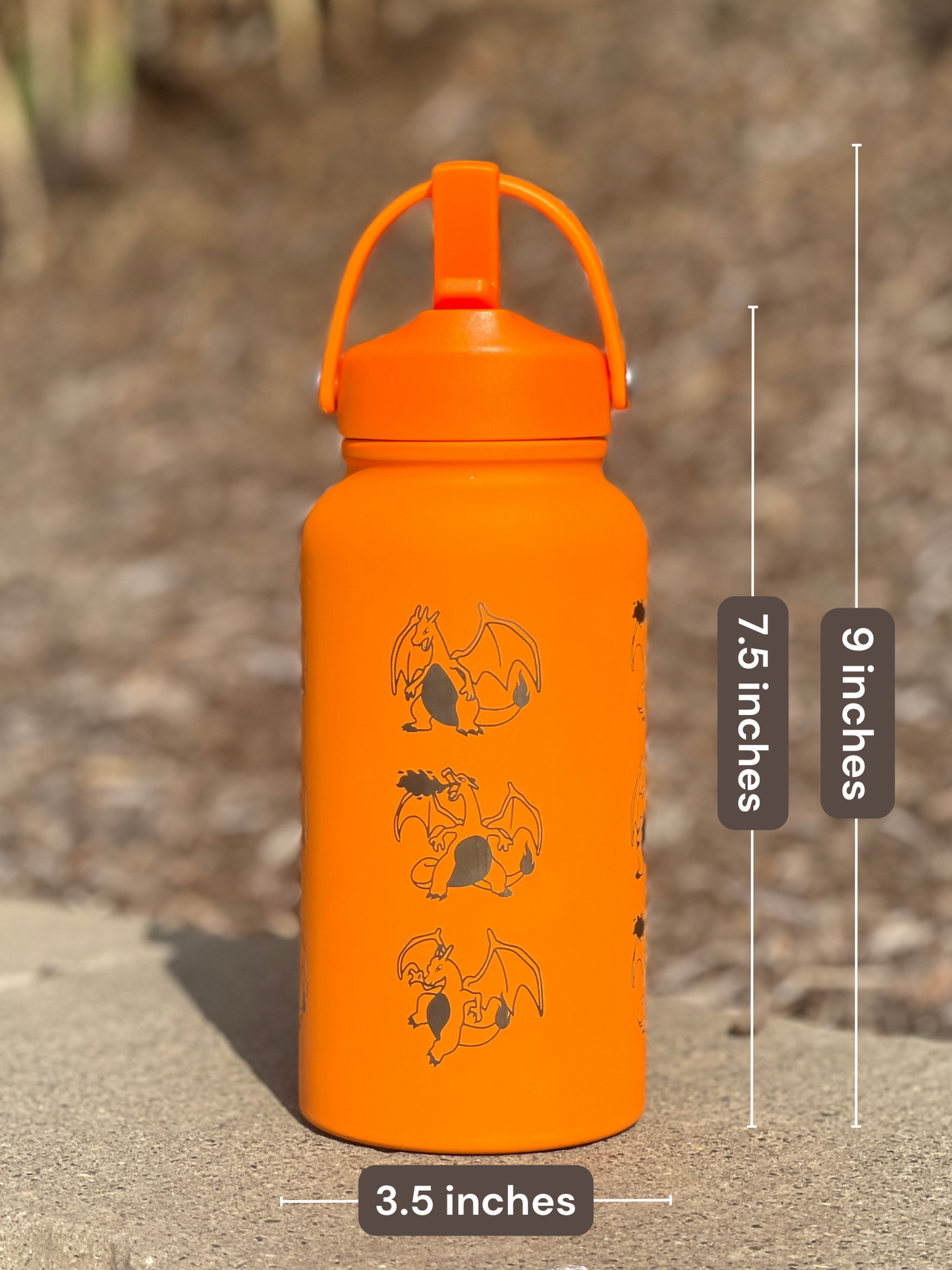Charizard Water Bottle Engraved Straw Waterbottle with Mega Charizard Y, Kanto Starter Coffee Tumbler Thermos Flask, Gamer Anniversary Gift