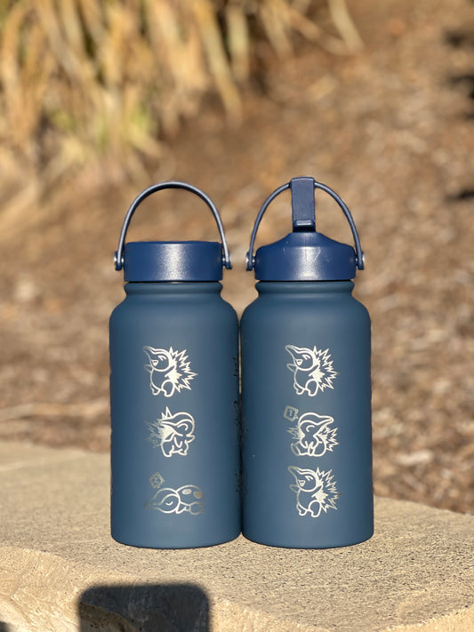 Cyndaquil Water Bottle Engraved Water Bottle with Mystery Dungeon Scarf & Sleeping Cyndaquil, Johto Fire Starter Coffee Tumbler Travel Mug, Gamer Anniversary Gift