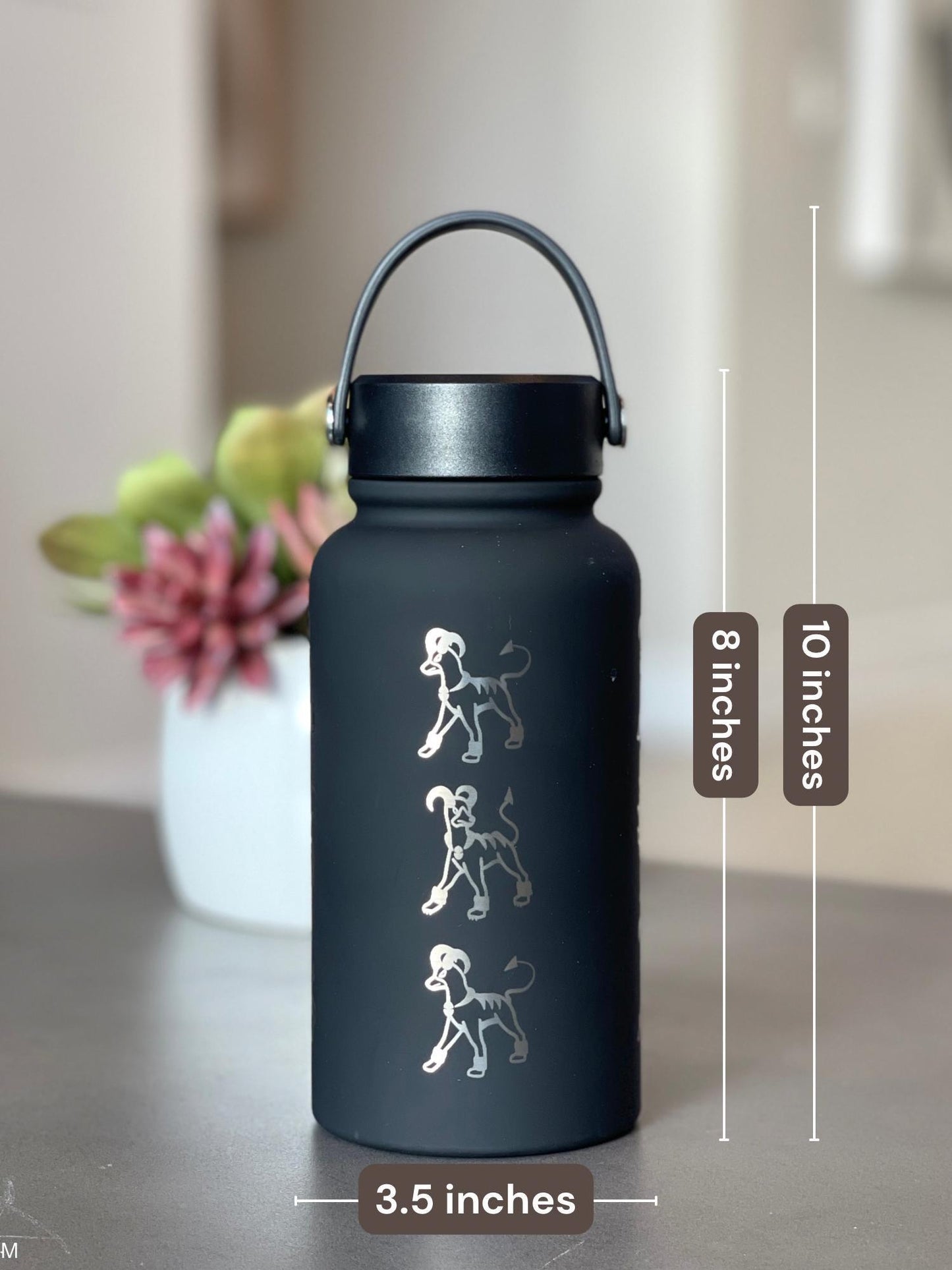 Houndoom Water Bottle Coffee Tumbler with Mega Houndoom and Apple from Togepi Episode Waterbottle Travel Mug, Anime Fan Birthday Gift