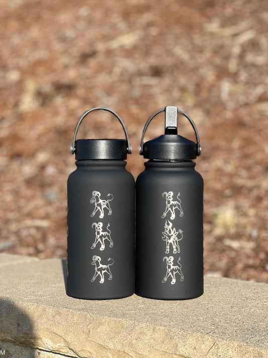 Houndoom Water Bottle Coffee Tumbler with Mega Houndoom and Apple from Togepi Episode Waterbottle Travel Mug, Anime Fan Birthday Gift