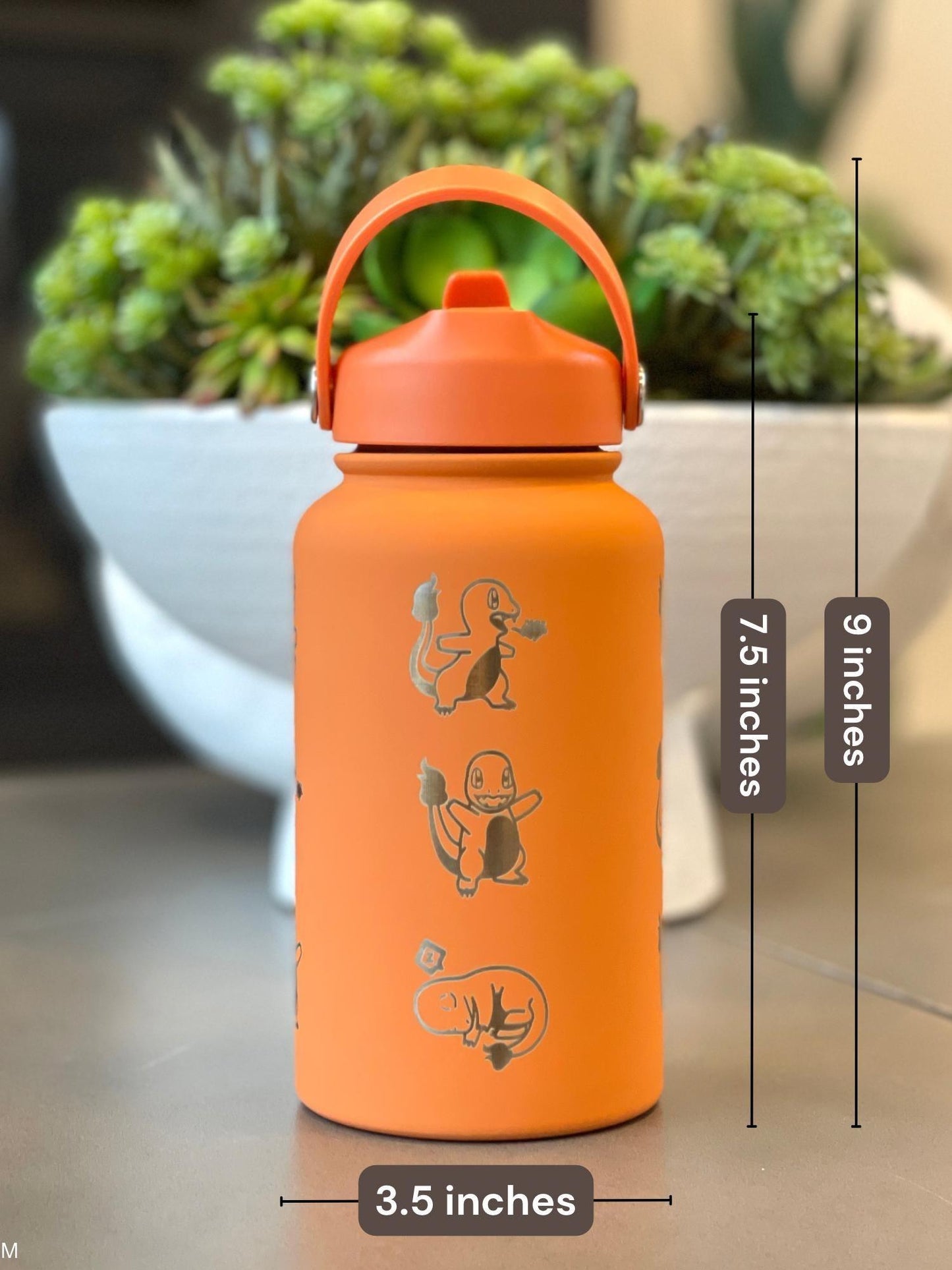 Charmander Water Bottle Engraved Coffee Tea Tumbler with Sleeping Charmander Leaf, Fire Kanto Starter Waterbottle, Gamer Birthday Gift