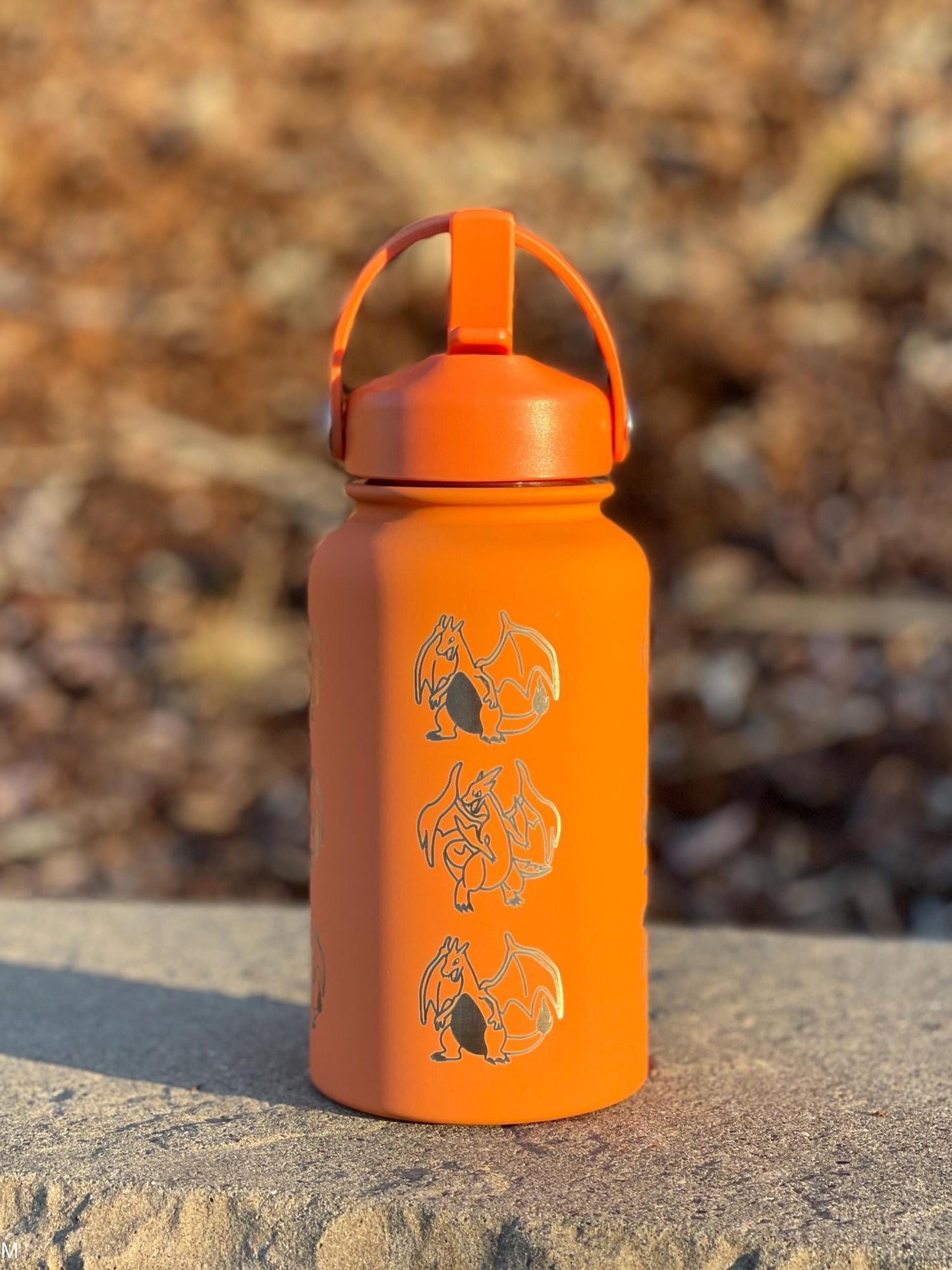 Charizard Water Bottle Engraved Straw Waterbottle with Mega Charizard Y, Kanto Starter Coffee Tumbler Thermos Flask, Gamer Anniversary Gift
