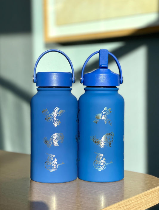 Kyogre Groudon Rayquaza “Hoenn Legendary Trio” Tumbler Waterbottle with Primal and Mega Evolution Versions Coffee Travel Mug Birthday Gift