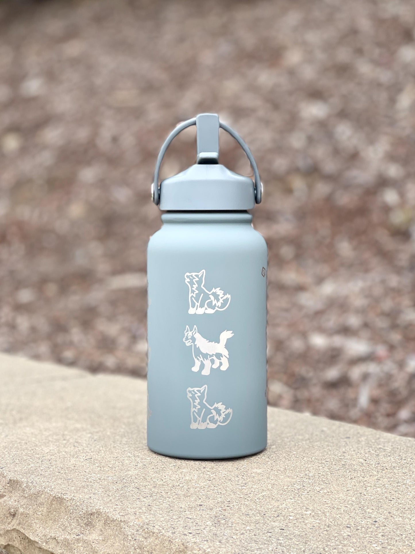 Poochyena Mightyena Water Bottle Engraved Coffee Tumbler, Cute Sleeping Poochyena Dog Waterbottle Travel Mug, Anime Hoenn Fan Birthday Gift