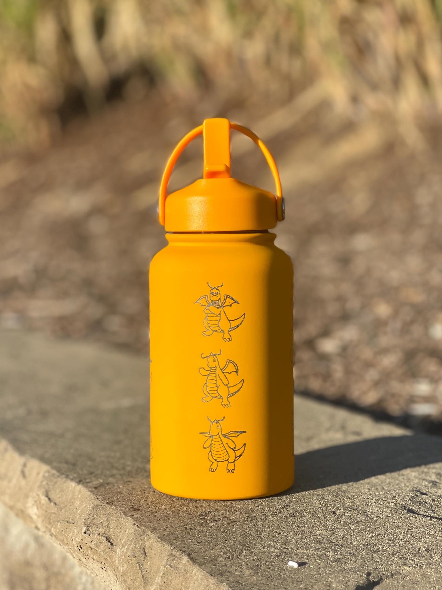Dragonite Water Bottle with Mega Dragonite, Engraved Coffee Tumbler, Glasses & Unite Gardening Style Costume Waterbottle, Anime Fan Gift