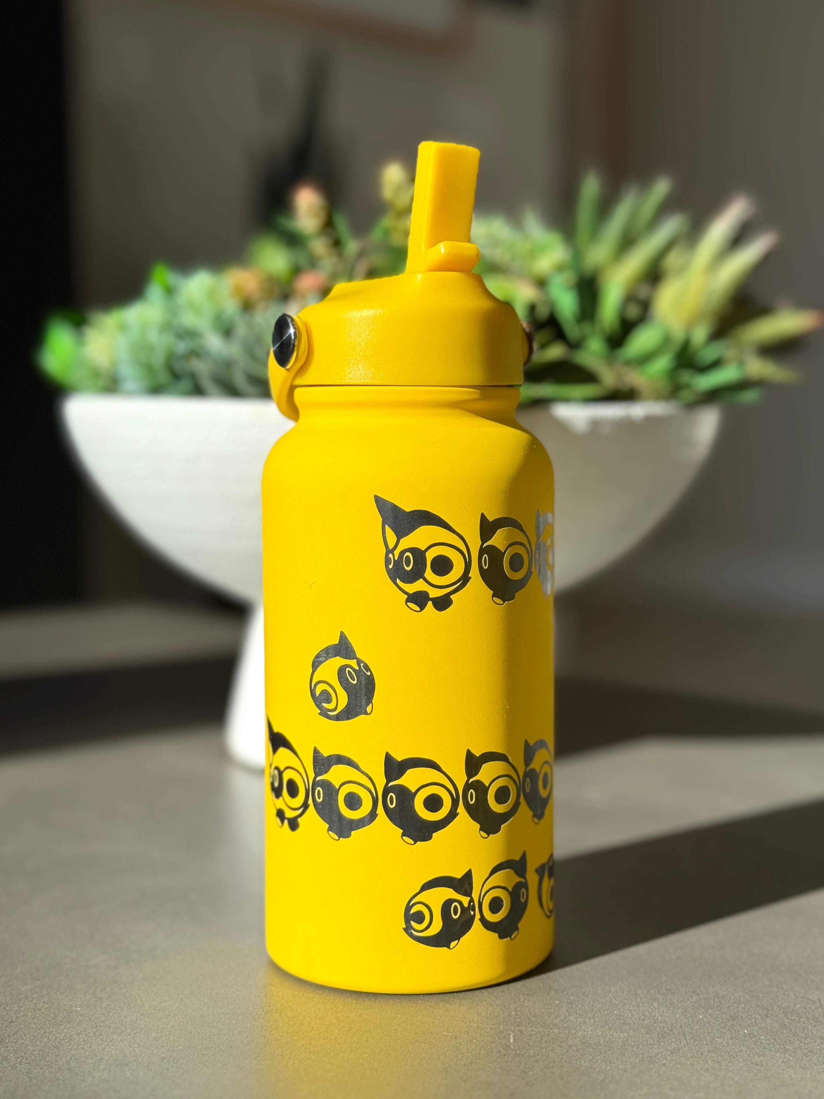 Falinks Water Bottle Engraved Waterbottle, Surrounding Falinks Secret Snorunt Coffee Tumbler Thermos Flask, Gamer Anniversary Gift