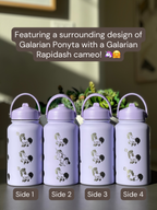 Galarian Ponyta Rapidash Water Bottle Engraved Coffee Tumbler with Sleeping & Sunglasses Ponyta, Waterbottle, Pony Thermos Anime Fan Birthday Gift