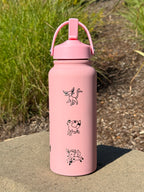 Eevee Evolutions Eeveelutions Pink Water Bottle Engraved Waterbottle Espeon Umbreon Leafeon Glaceon Sylveon Coffee Tumbler Thermos, Gamer Anniversary Gift