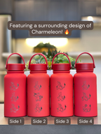 Charmeleon Water Bottle Engraved Waterbottle with Sleeping Charmeleon Coffee Tumbler Thermos Flask, Gamer Anniversary Gift