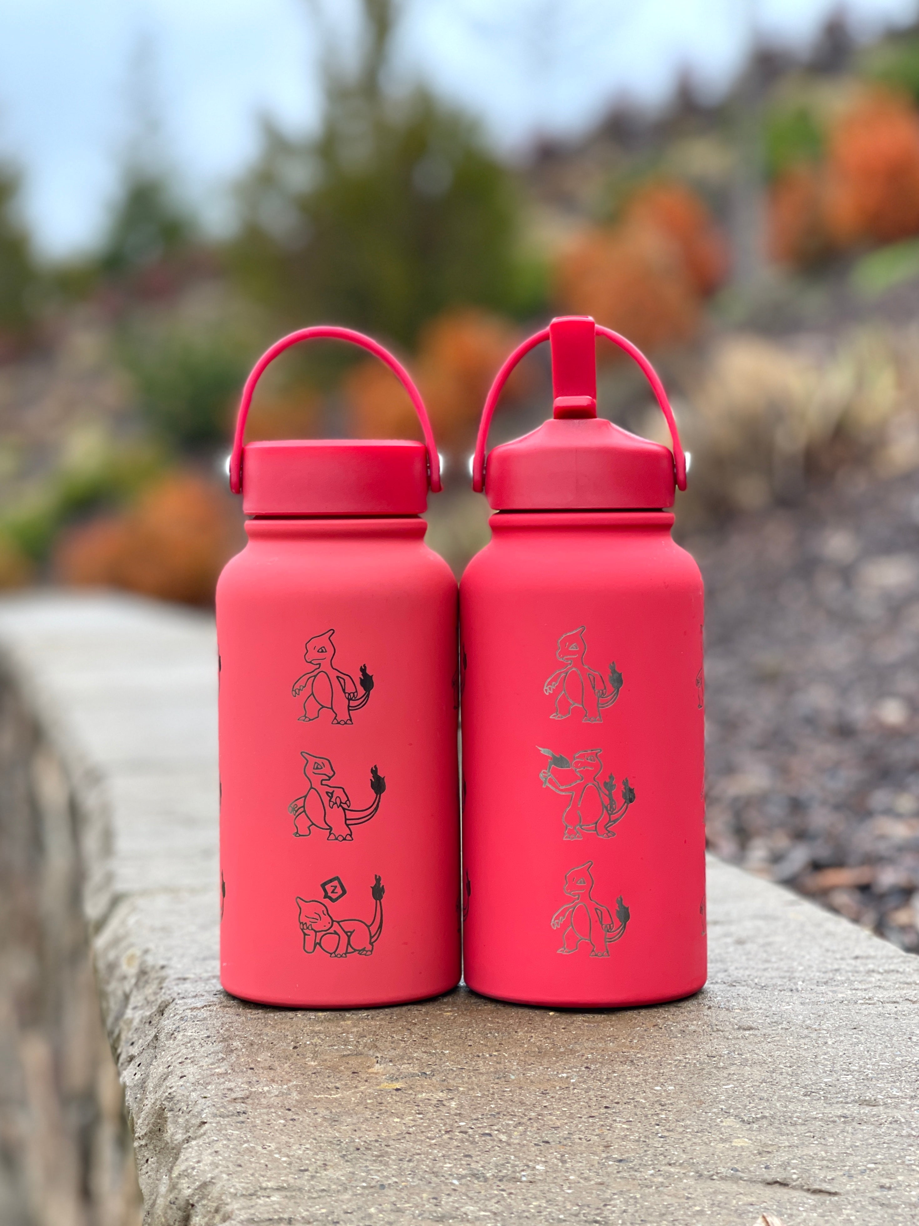 Charmeleon Water Bottle Engraved Waterbottle with Sleeping Charmeleon Coffee Tumbler Thermos Flask, Gamer Anniversary Gift