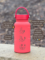 Charmeleon Water Bottle Engraved Waterbottle with Sleeping Charmeleon Coffee Tumbler Thermos Flask, Gamer Anniversary Gift