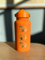 Charizard Water Bottle Engraved Straw Waterbottle with Mega Charizard Y, Kanto Starter Coffee Tumbler Thermos Flask, Gamer Anniversary Gift