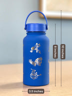 Kyogre Groudon Rayquaza “Hoenn Legendary Trio” Tumbler Waterbottle with Primal and Mega Evolution Versions Coffee Travel Mug Birthday Gift