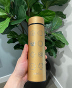 Kanto Johto Hoenn Gym Badges Tumbler Water Bottle with Tea Infuser Coffee Travel Cup Mug, Gamer Anime Waterbottle Birthday Gifts