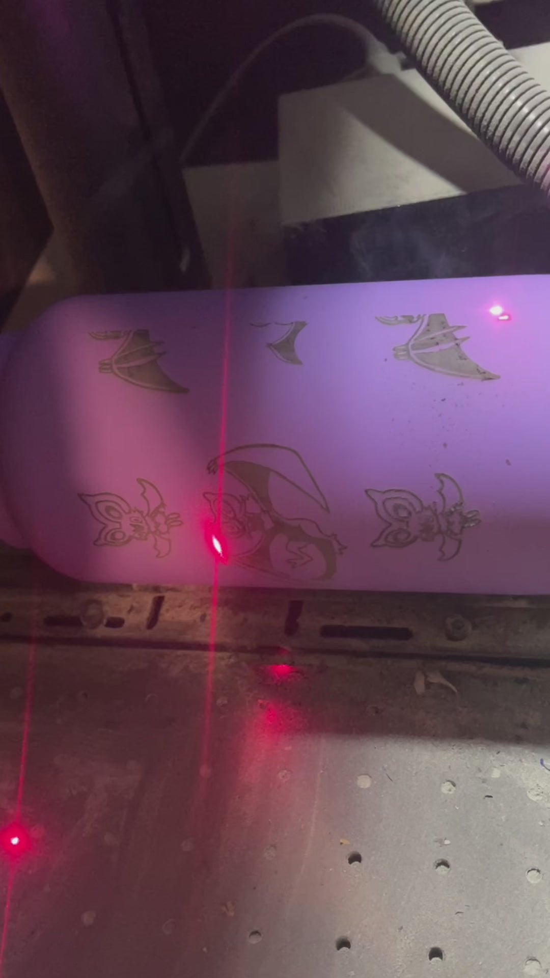 Noibat Noivern Water Bottle Engraved Waterbottle, Bat Noibat with Berry Coffee Tumbler Thermos Flask, Gamer Anniversary Gift