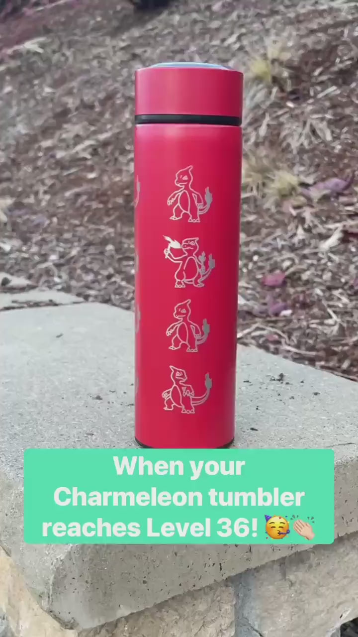 Charizard Water Bottle Engraved Straw Waterbottle with Mega Charizard Y, Kanto Starter Coffee Tumbler Thermos Flask, Gamer Anniversary Gift